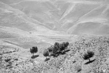 timeless landscape ii.jpg